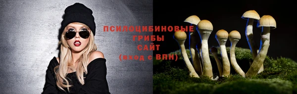 mdpv Лабытнанги