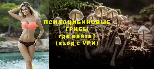 mdpv Лабытнанги